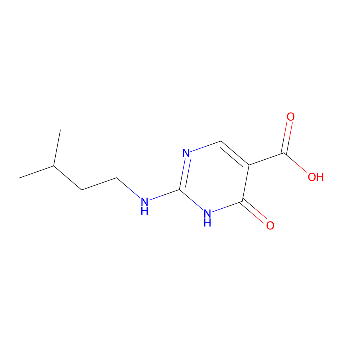 2-(Isopentylamino)-6-oxo-1,6-dihydropyrimidine-5-carboxylic acid molecular structure, CAS 100133-67-3