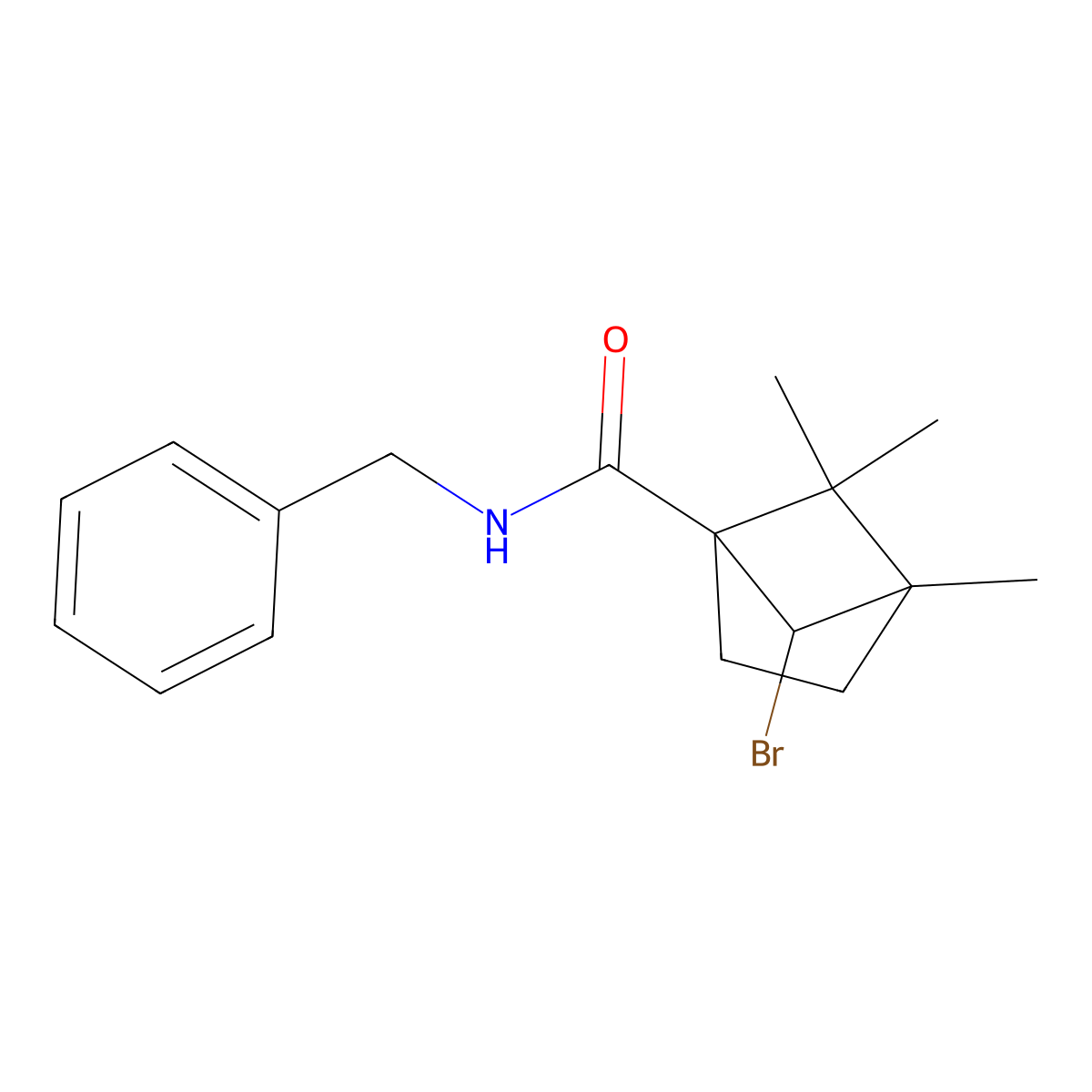 N-benzyl-6-bromo-4,5,5-trimethylbicyclo[2.1.1]hexane-1-carboxamide molecular structure, CAS 1001463-98-4