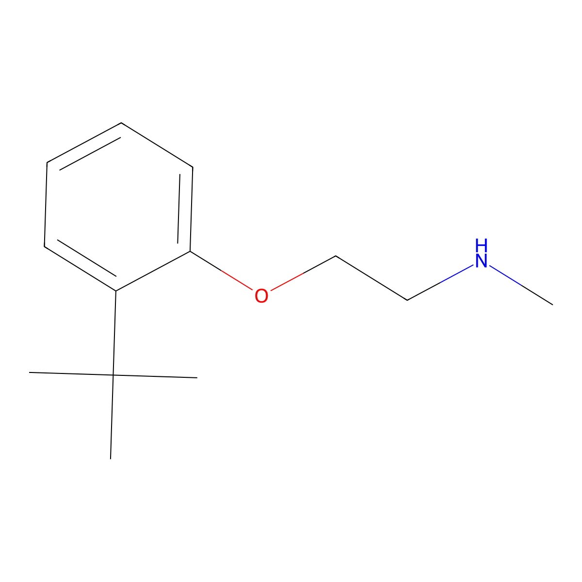 [2-(2-Tert-butylphenoxy)ethyl](methyl)amine molecular structure, CAS 1002514-24-0