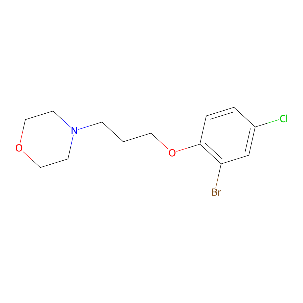 4-(3-(2-Bromo-4-chlorophenoxy)propyl)morpholine molecular structure, CAS 1002540-31-9