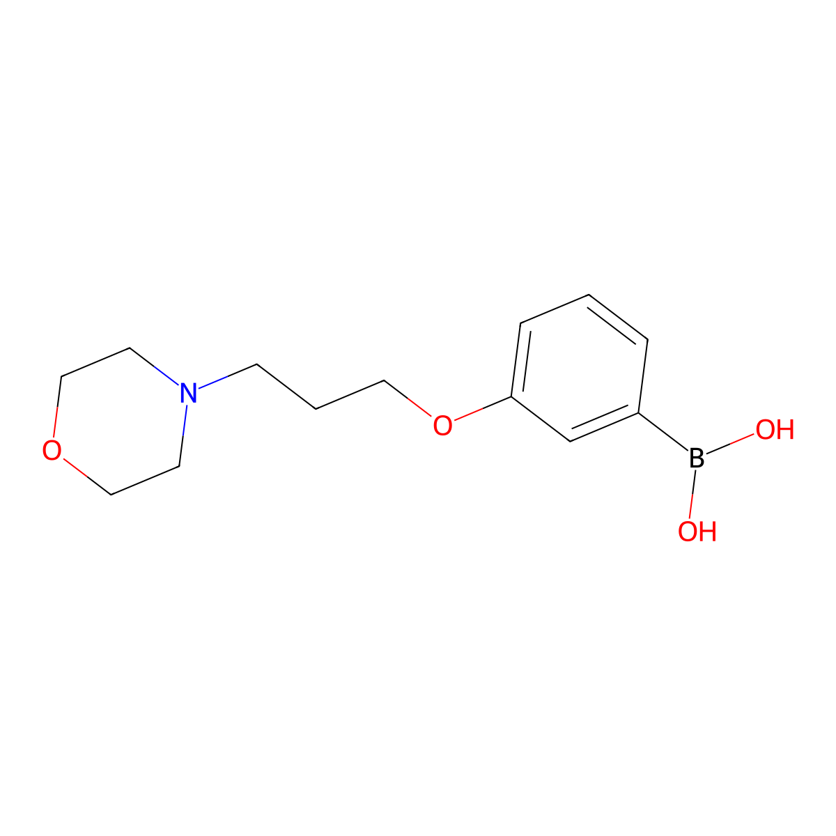 (3-(3-Morpholinopropoxy)phenyl)boronic acid molecular structure, CAS 1003028-41-8