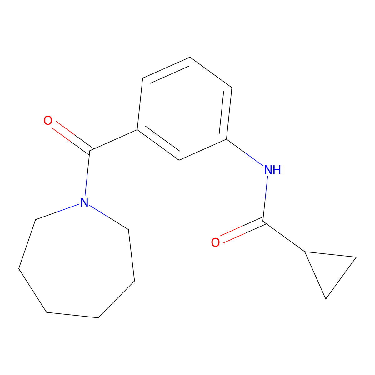 N-[3-(azepan-1-ylcarbonyl)phenyl]cyclopropanecarboxamide molecular structure, CAS 1003405-25-1