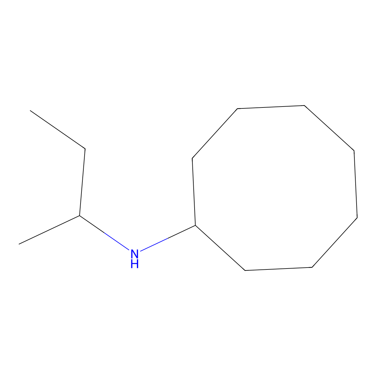 N-(butan-2-yl)cyclooctanamine molecular structure, CAS 100386-69-4