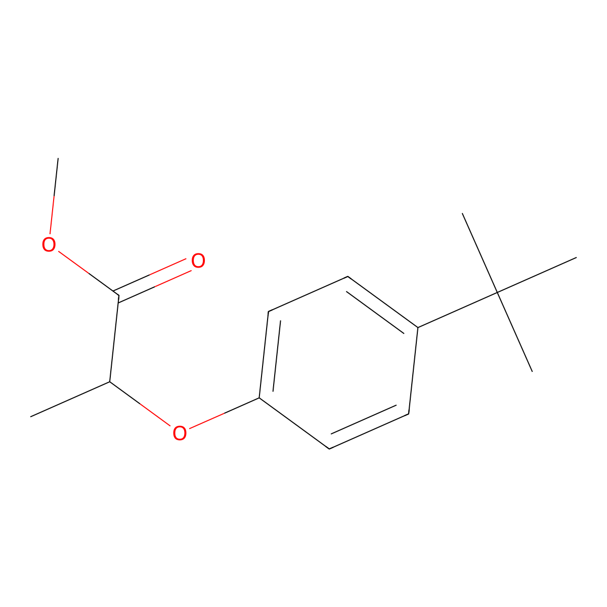 Methyl 2-(4-tert-butylphenoxy)propanoate molecular structure, CAS 1003885-16-2