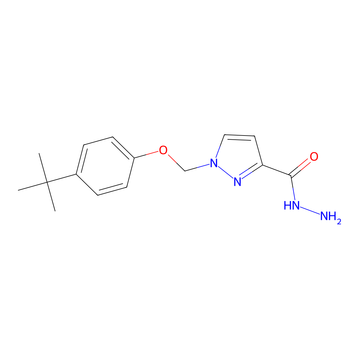 1-((4-(tert-Butyl)phenoxy)methyl)-1H-pyrazole-3-carbohydrazide molecular structure, CAS 1003987-81-2