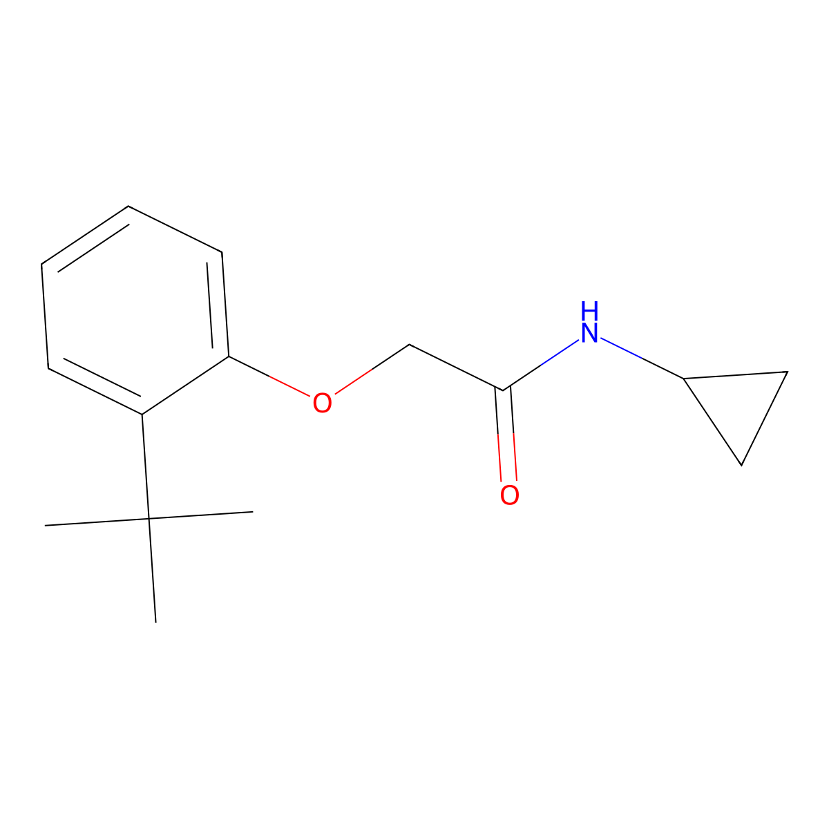 2-(2-tert-butylphenoxy)-N-cyclopropylacetamide molecular structure, CAS 1004116-67-9