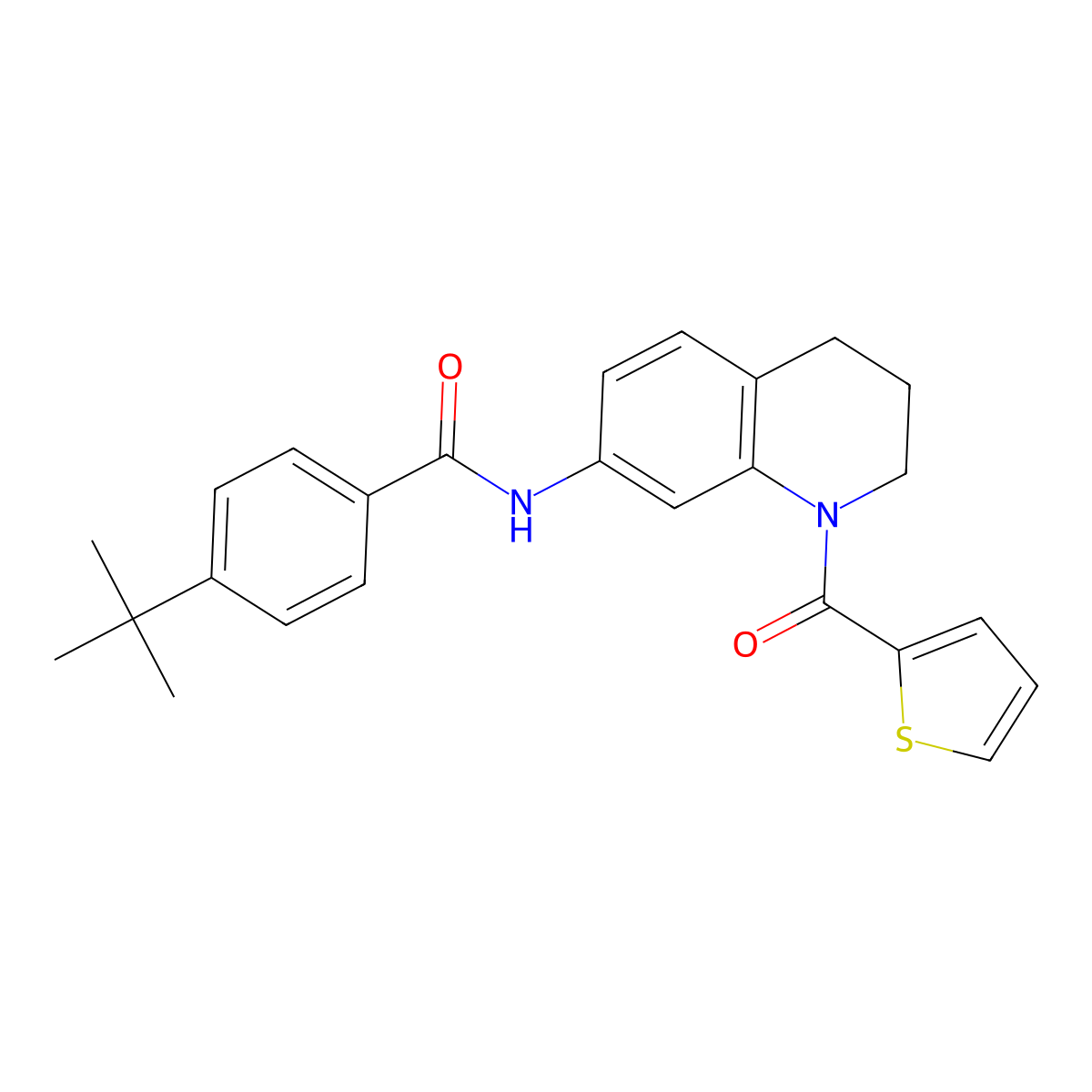 4-tert-butyl-N-[1-(thiophene-2-carbonyl)-3,4-dihydro-2H-quinolin-7-yl]benzamide molecular structure, CAS 1004252-95-2