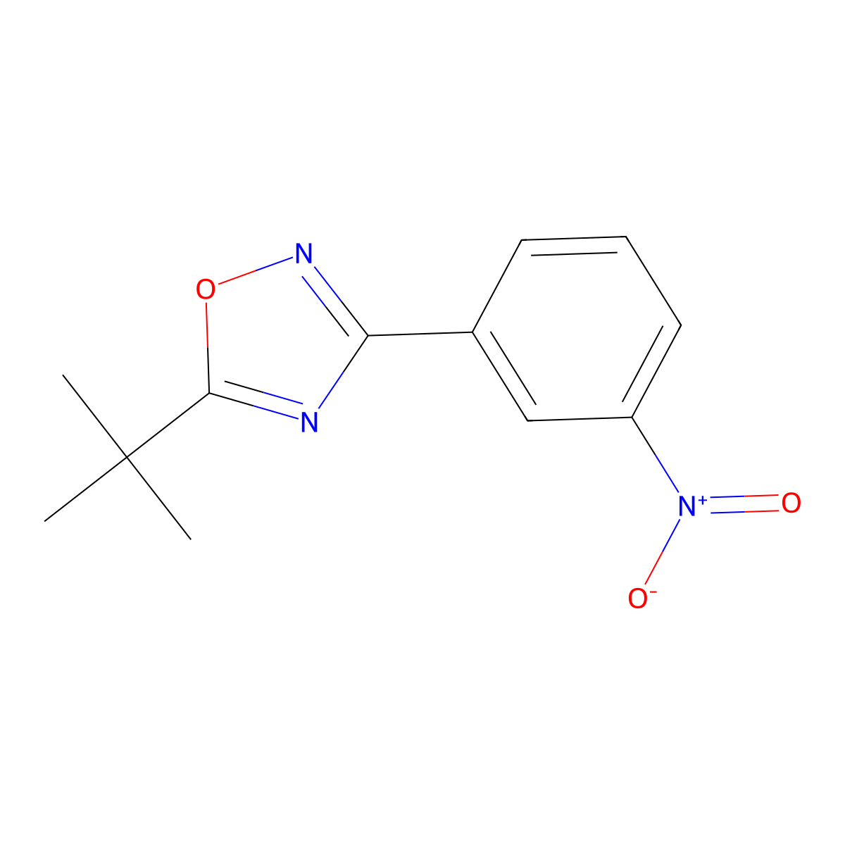 5-Tert-butyl-3-(3-nitrophenyl)-1,2,4-oxadiazole molecular structure, CAS 1004398-30-4