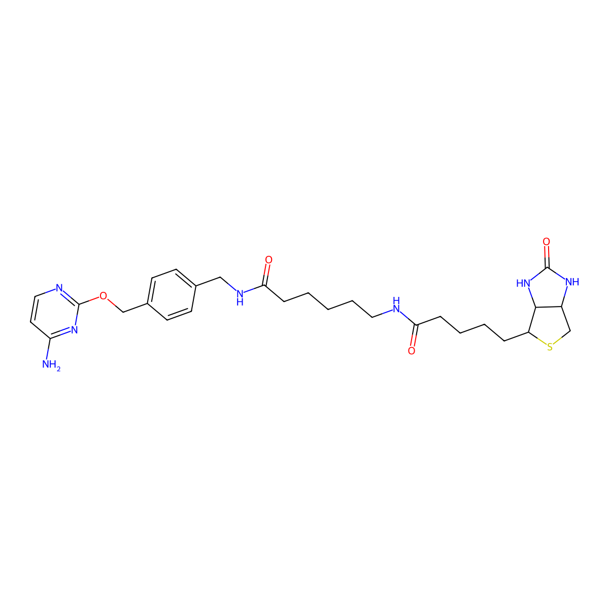 Biotin-Clip molecular structure, CAS 1004524-73-5