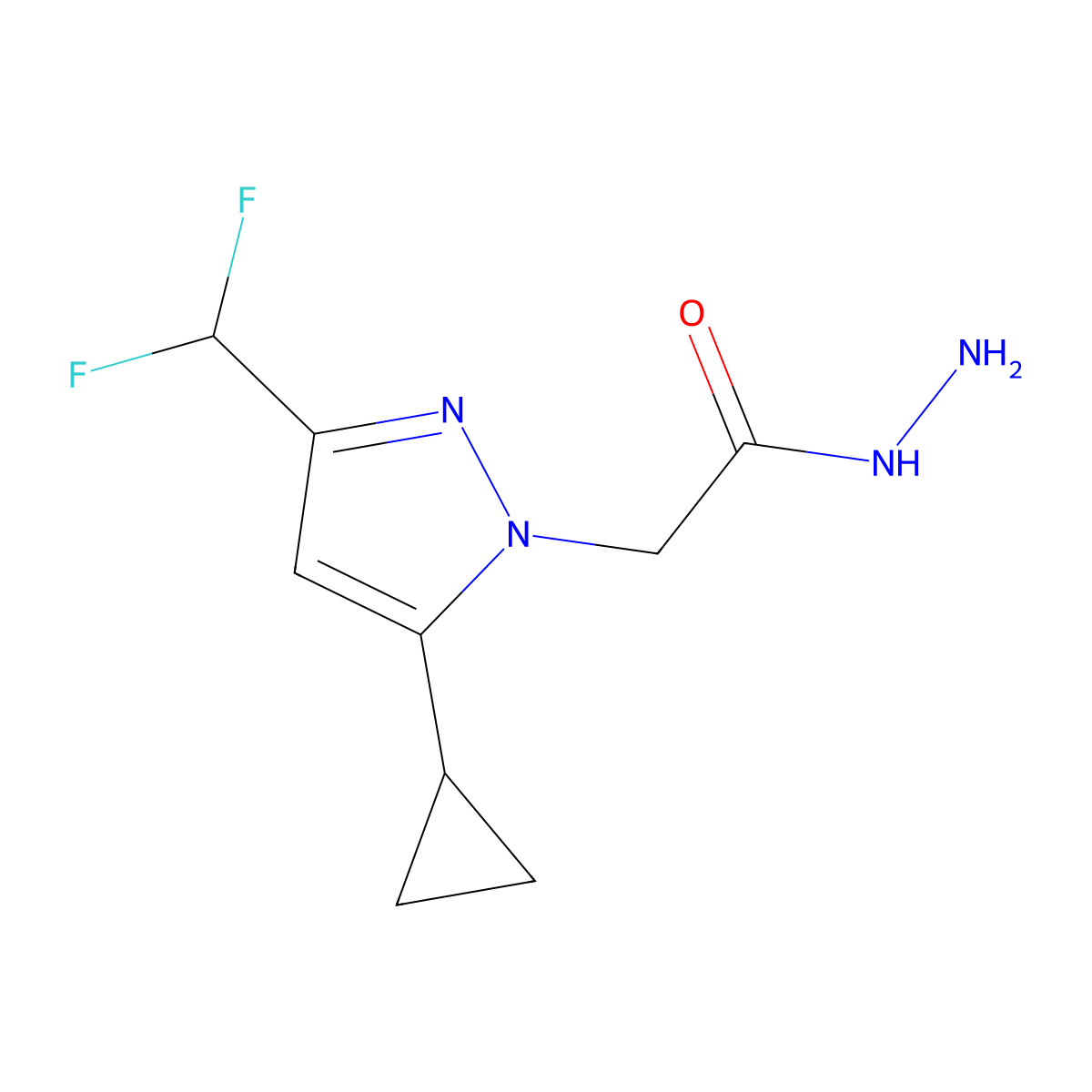 2-[5-cyclopropyl-3-(difluoromethyl)-1H-pyrazol-1-yl]acetohydrazide molecular structure, CAS 1004644-16-9