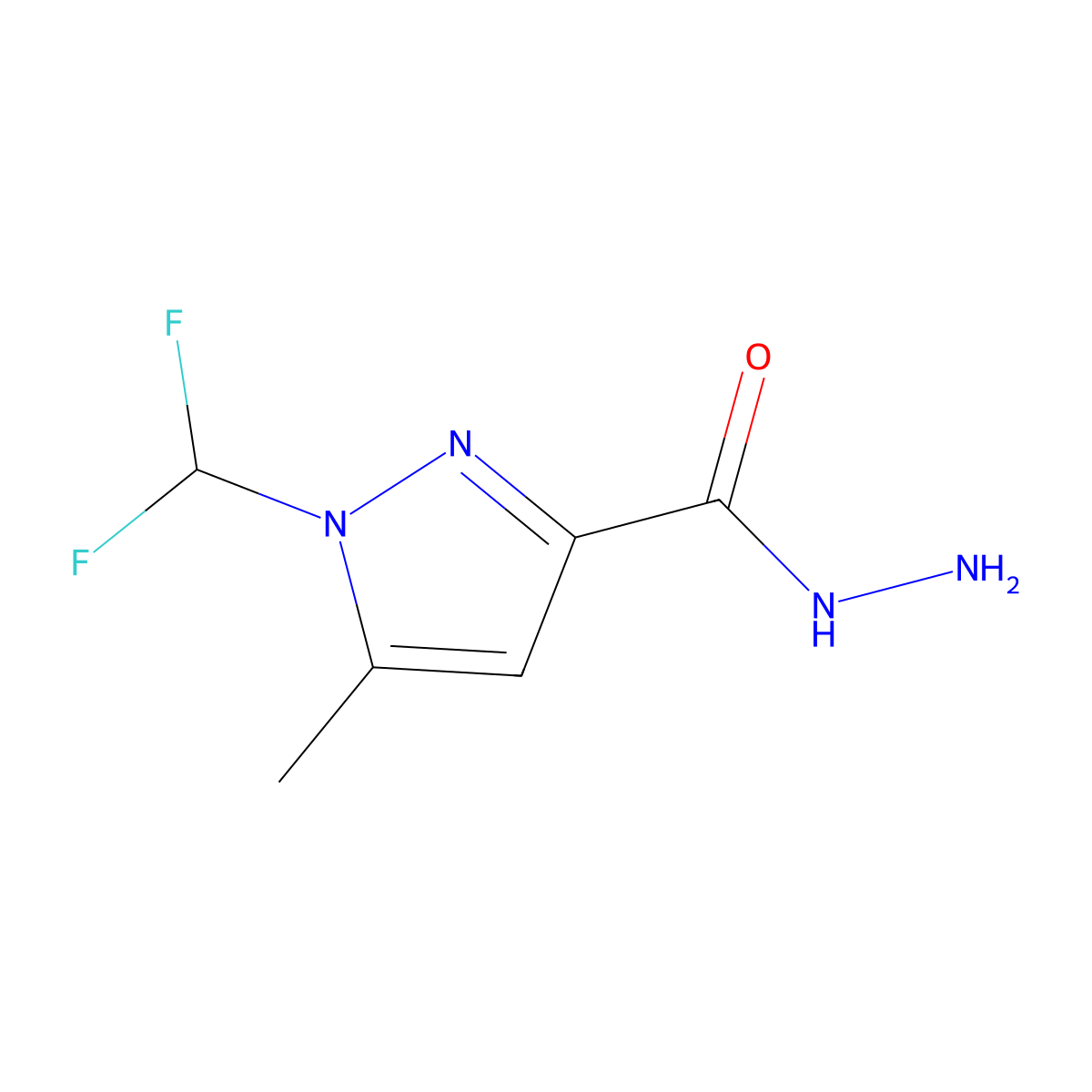 1-(difluoromethyl)-5-methyl-1H-pyrazole-3-carbohydrazide molecular structure, CAS 1004644-24-9