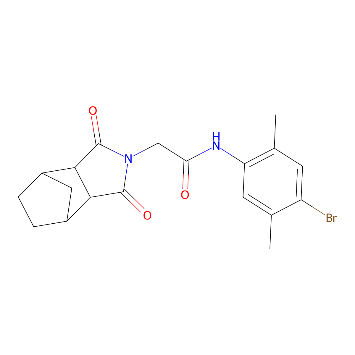 N-(4-bromo-2,5-dimethylphenyl)-2-(1,3-dioxooctahydro-2H-4,7-methanoisoindol-2-yl)acetamide molecular structure, CAS 1005053-69-9