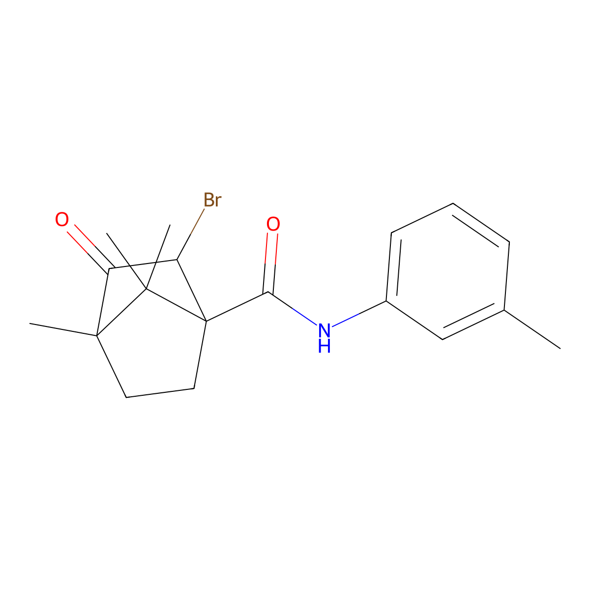 2-bromo-4,7,7-trimethyl-N-(3-methylphenyl)-3-oxobicyclo[2.2.1]heptane-1-carboxamide molecular structure, CAS 1005085-14-2