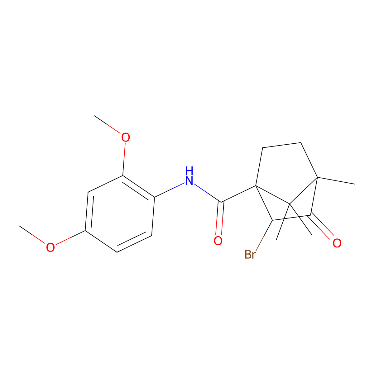 2-bromo-N-(2,4-dimethoxyphenyl)-4,7,7-trimethyl-3-oxobicyclo[2.2.1]heptane-1-carboxamide molecular structure, CAS 1005085-26-6