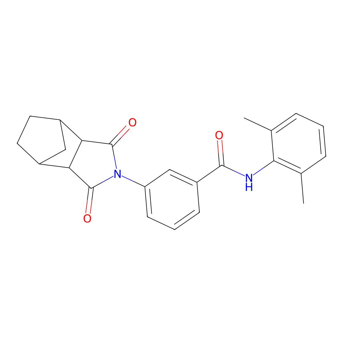 N-(2,6-dimethylphenyl)-3-(1,3-dioxooctahydro-2H-4,7-methanoisoindol-2-yl)benzamide molecular structure, CAS 1005108-37-1