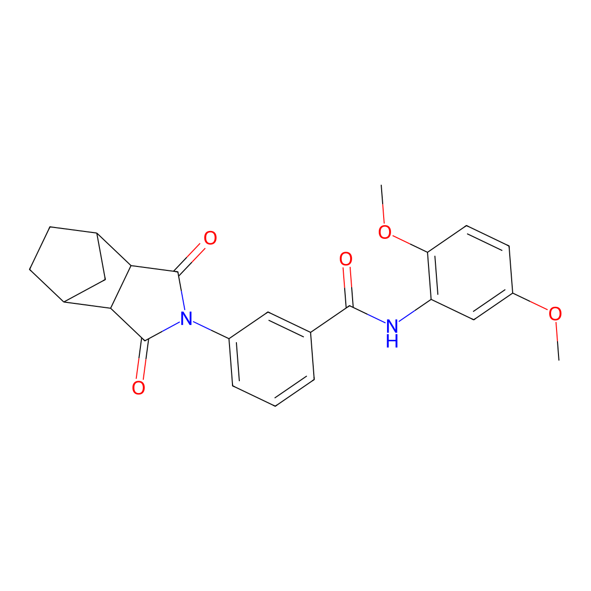 N-(2,5-dimethoxyphenyl)-3-(1,3-dioxooctahydro-2H-4,7-methanoisoindol-2-yl)benzamide molecular structure, CAS 1005117-24-7