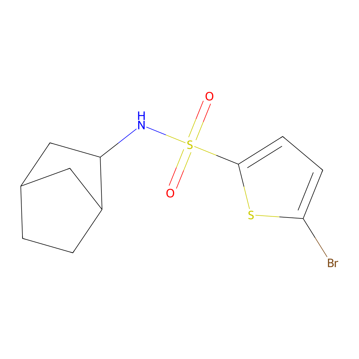 N-bicyclo[2.2.1]hept-2-yl-5-bromo-2-thiophenesulfonamide molecular structure, CAS 1005125-65-4