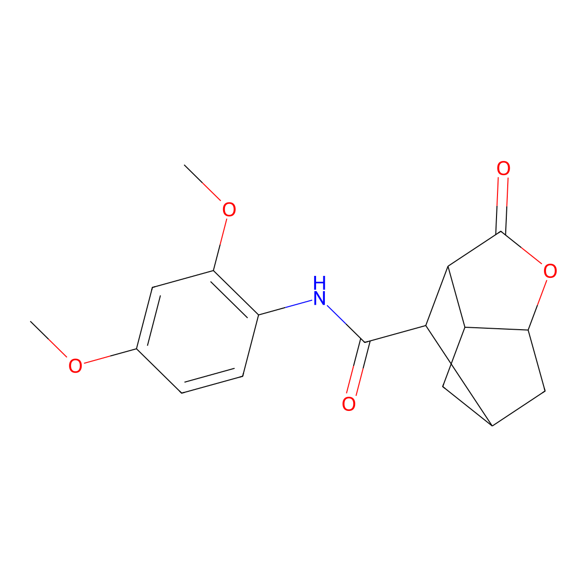 N-(2,4-dimethoxyphenyl)-2-oxohexahydro-2H-3,5-methanocyclopenta[b]furan-7-carboxamide molecular structure, CAS 1005127-16-1