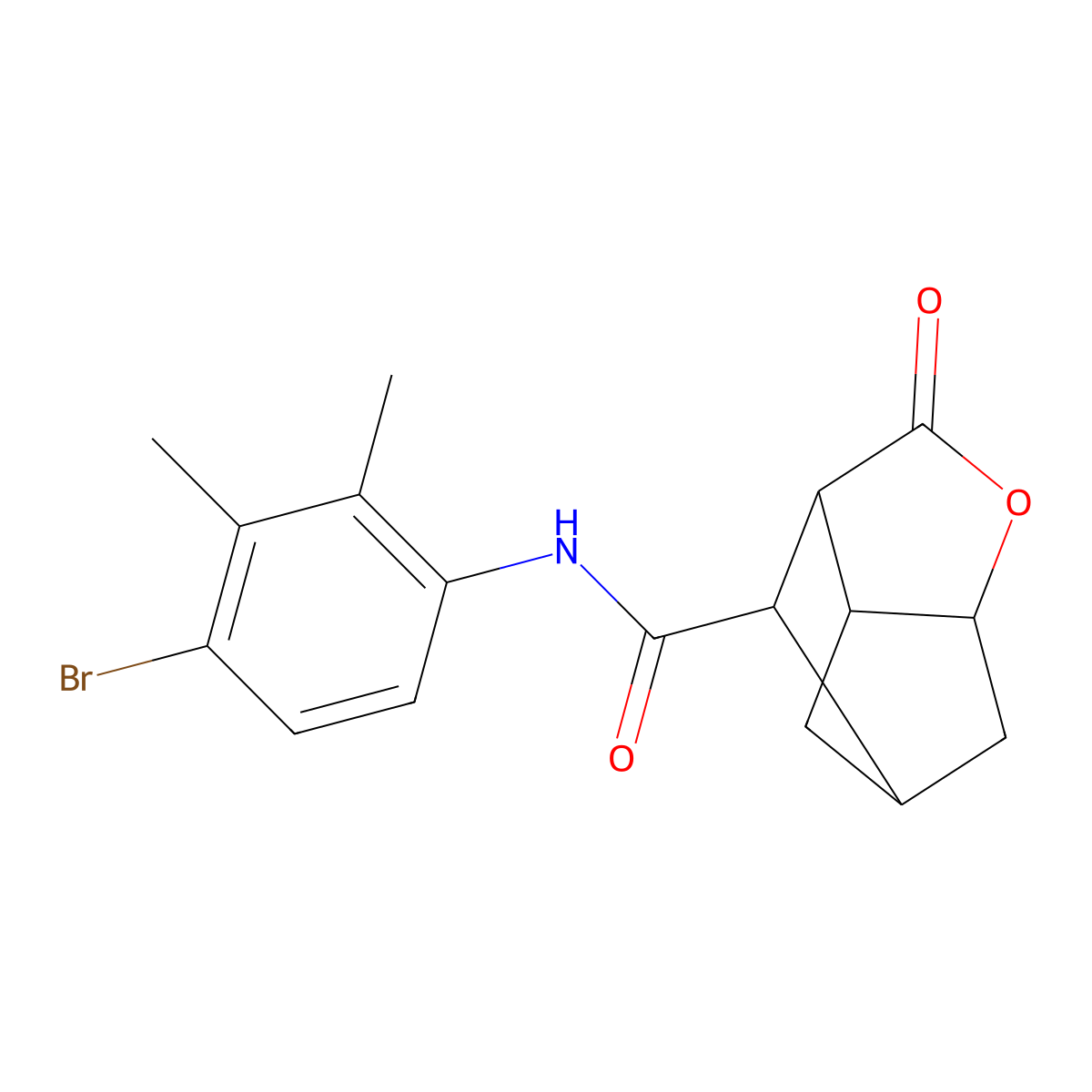 N-(4-bromo-2,3-dimethylphenyl)-2-oxohexahydro-2H-3,5-methanocyclopenta[b]furan-7-carboxamide molecular structure, CAS 1005127-59-2