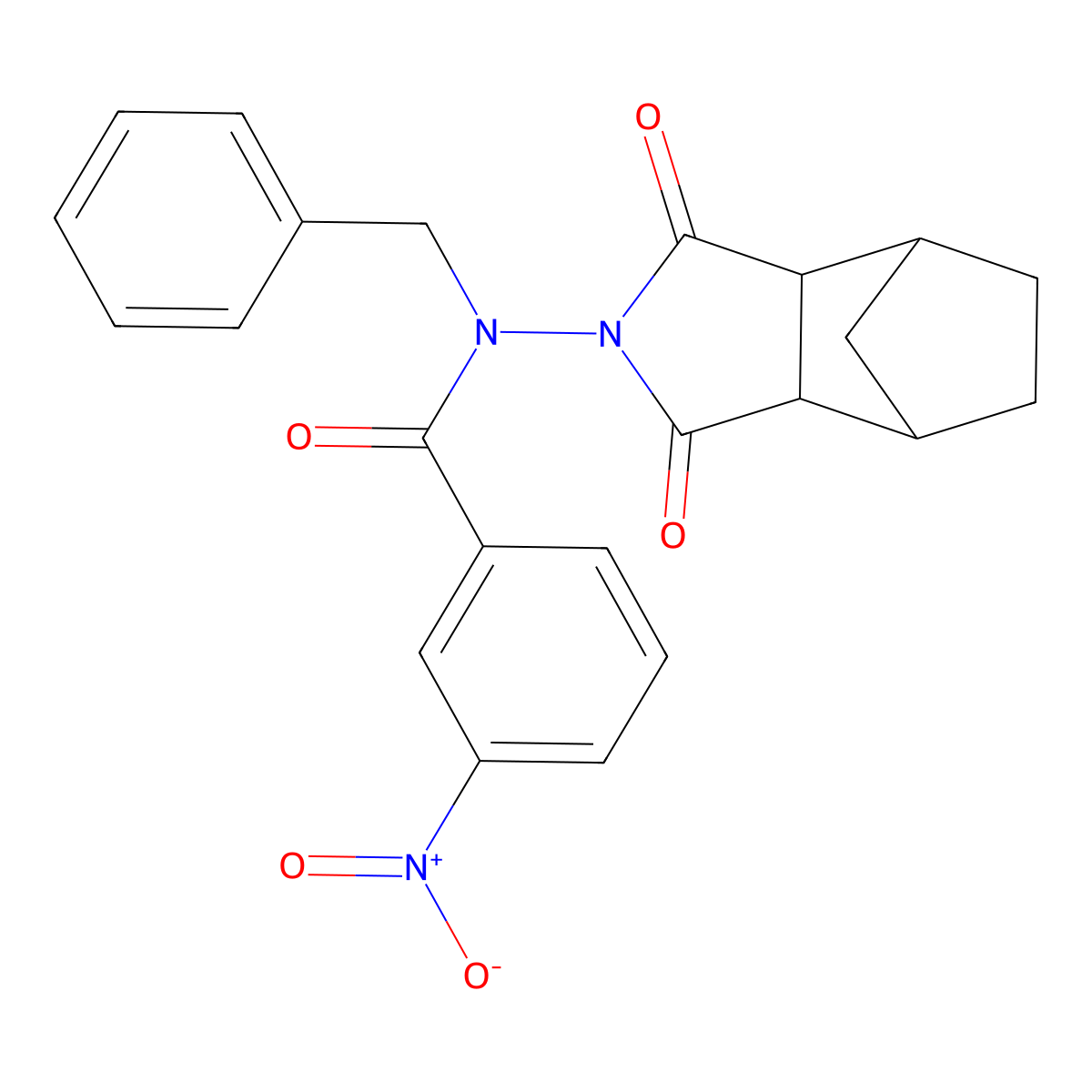 N-benzyl-N-(1,3-dioxooctahydro-2H-4,7-methanoisoindol-2-yl)-3-nitrobenzamide molecular structure, CAS 1005127-70-7