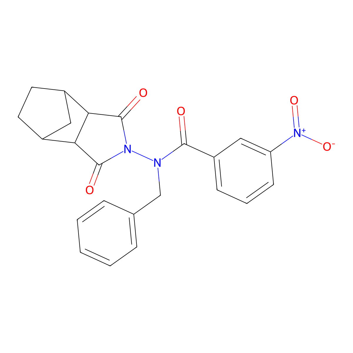 N-benzyl-N-(1,3-dioxooctahydro-2H-4,7-methanoisoindol-2-yl)-3-nitrobenzamide molecular structure, CAS 1005127-70-7