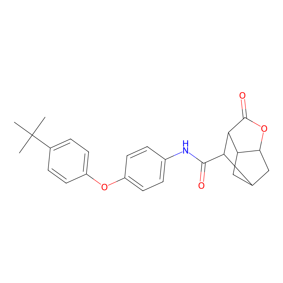 N-[4-(4-tert-butylphenoxy)phenyl]-2-oxohexahydro-2H-3,5-methanocyclopenta[b]furan-7-carboxamide molecular structure, CAS 1005130-57-3