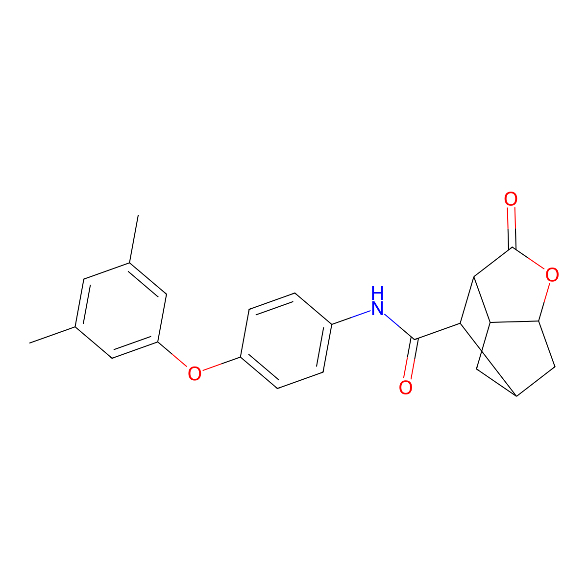 N-[4-(3,5-dimethylphenoxy)phenyl]-2-oxohexahydro-2H-3,5-methanocyclopenta[b]furan-7-carboxamide molecular structure, CAS 1005141-40-1
