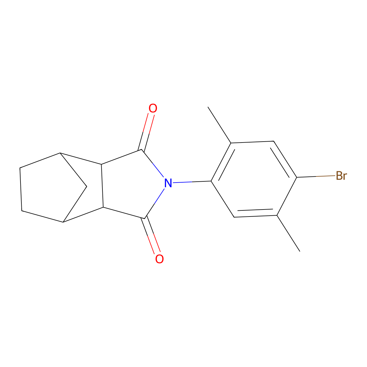 2-(4-bromo-2,5-dimethylphenyl)hexahydro-1H-4,7-methanoisoindole-1,3(2H)-dione molecular structure, CAS 1005151-23-4