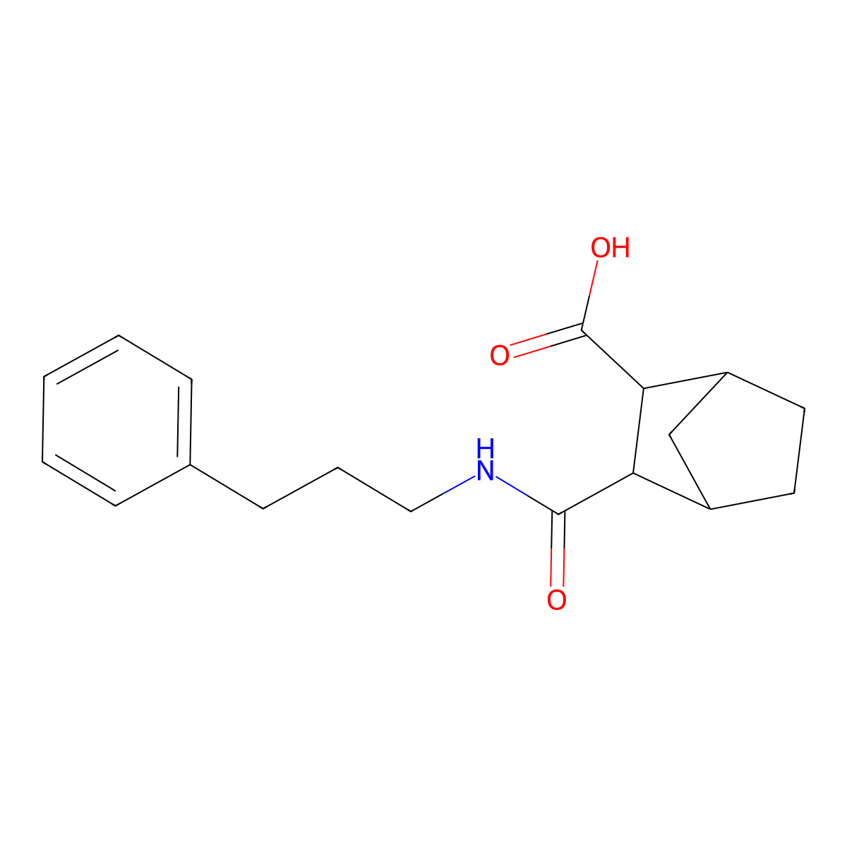 3-[(3-Phenylpropyl)carbamoyl]bicyclo[2.2.1]heptane-2-carboxylic acid molecular structure, CAS 1005154-19-7