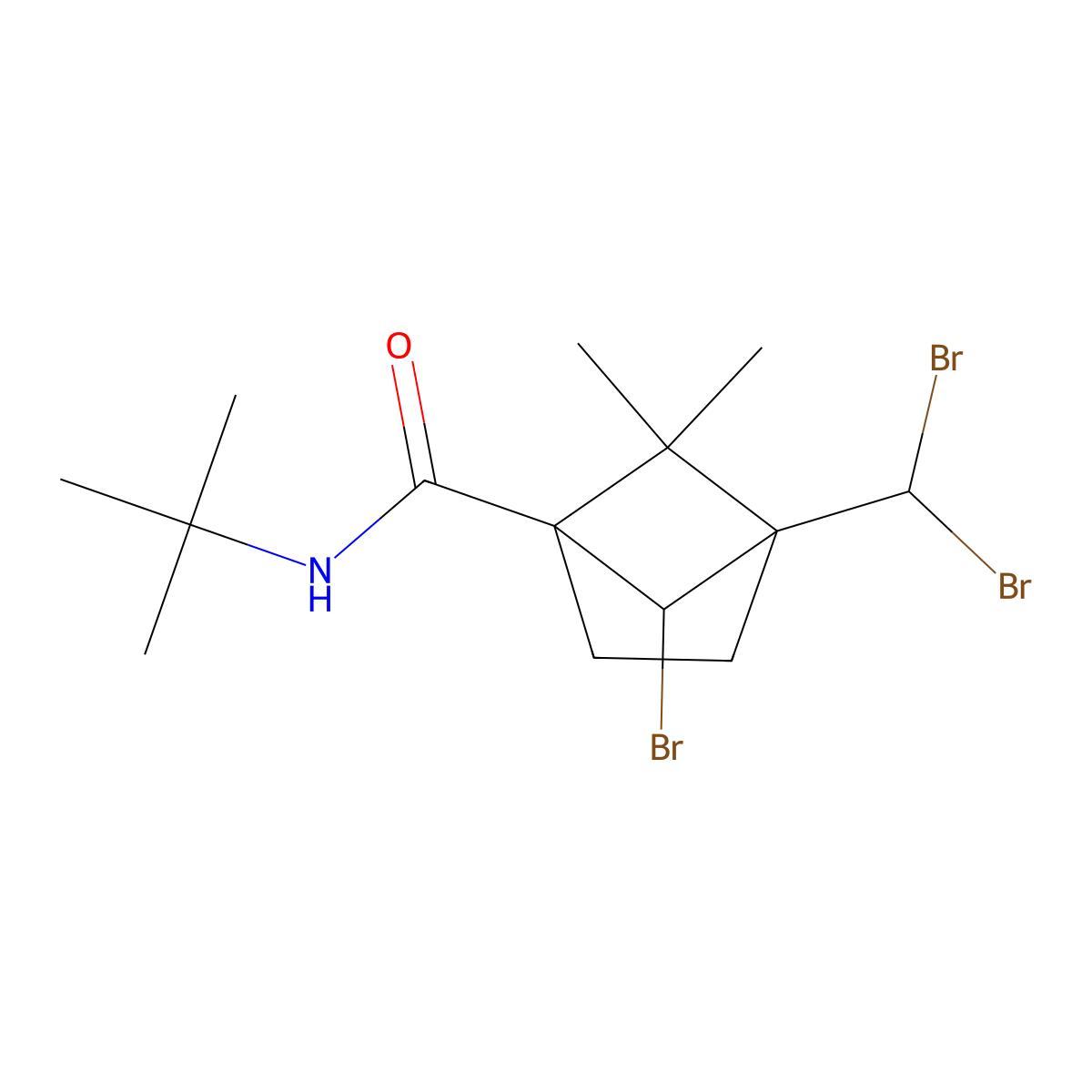 6-bromo-N-(tert-butyl)-4-(dibromomethyl)-5,5-dimethylbicyclo[2.1.1]hexane-1-carboxamide molecular structure, CAS 1005154-88-0