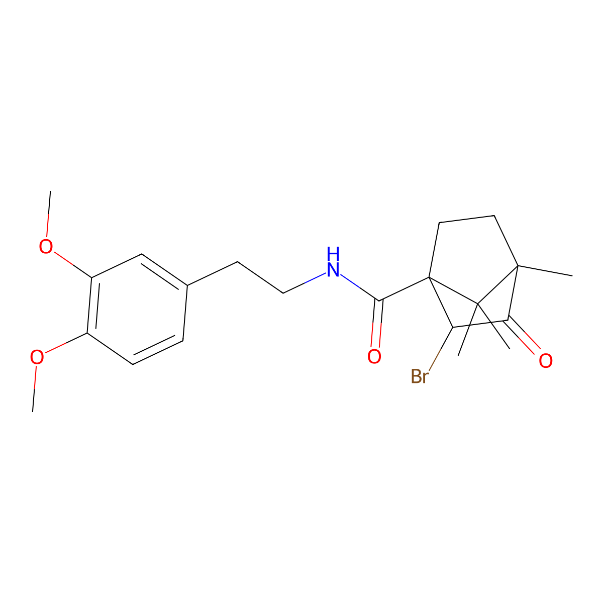 2-bromo-N-[2-(3,4-dimethoxyphenyl)ethyl]-4,7,7-trimethyl-3-oxobicyclo[2.2.1]heptane-1-carboxamide molecular structure, CAS 1005273-19-7