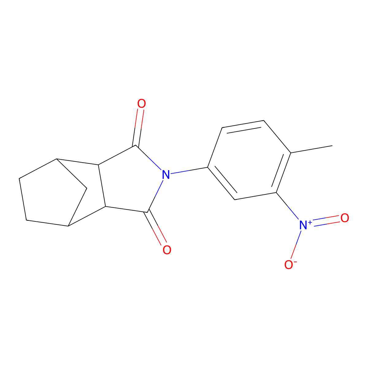 2-(4-methyl-3-nitrophenyl)hexahydro-1H-4,7-methanoisoindole-1,3(2H)-dione molecular structure, CAS 1005281-27-5