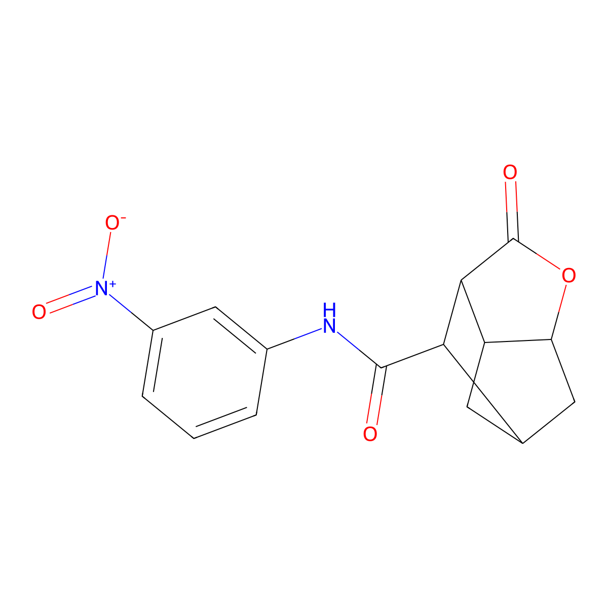 N-(3-nitrophenyl)-2-oxohexahydro-2H-3,5-methanocyclopenta[b]furan-7-carboxamide molecular structure, CAS 1005281-46-8