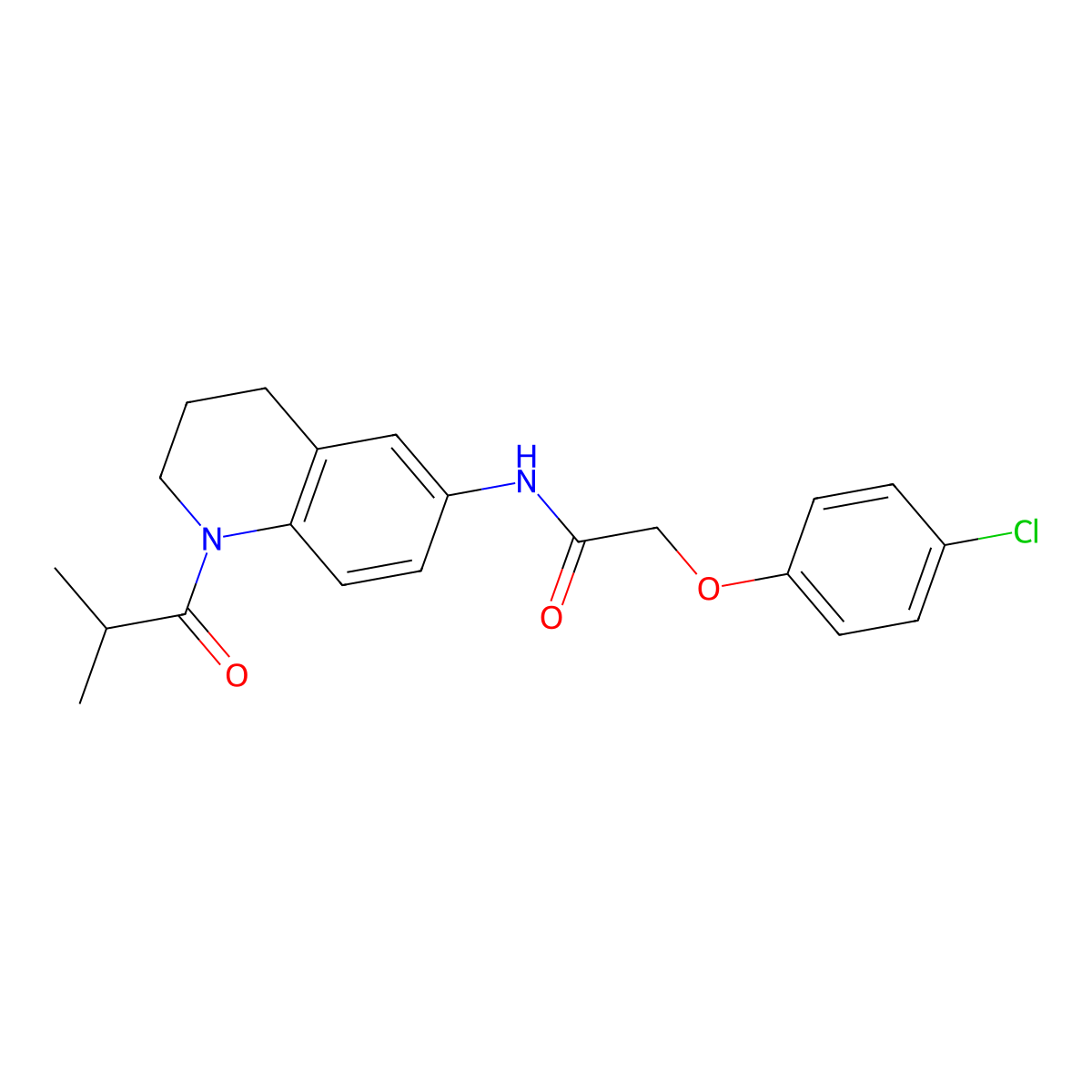 2-(4-chlorophenoxy)-N-(1-isobutyryl-1,2,3,4-tetrahydroquinolin-6-yl)acetamide molecular structure, CAS 1005292-70-5