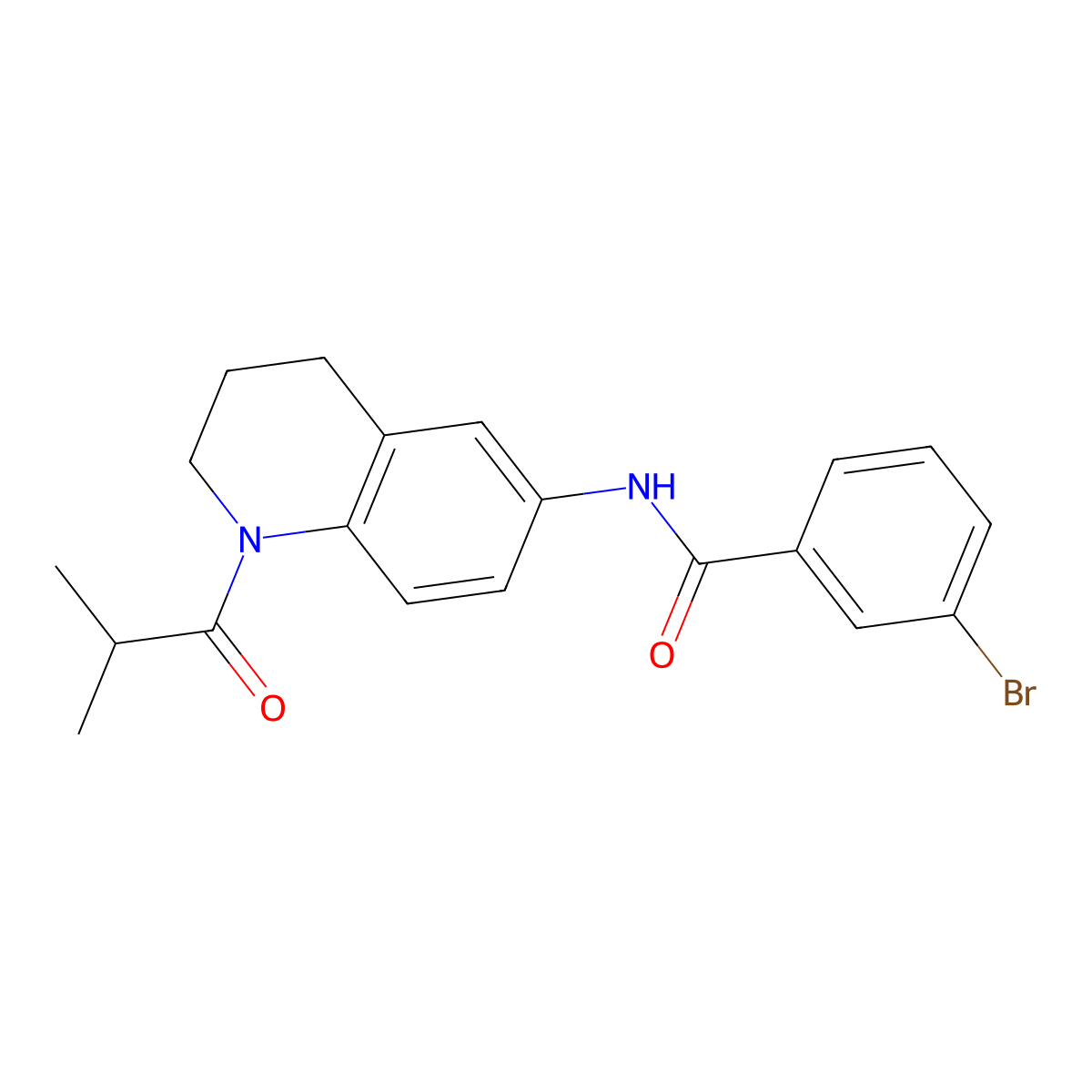 3-bromo-N-(1-isobutyryl-1,2,3,4-tetrahydroquinolin-6-yl)benzamide molecular structure, CAS 1005292-80-7