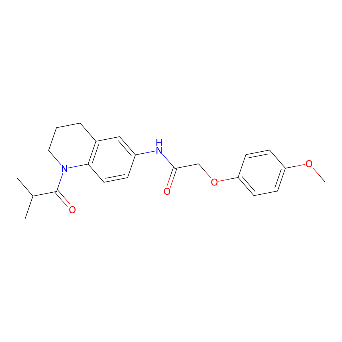N-(1-isobutyryl-1,2,3,4-tetrahydroquinolin-6-yl)-2-(4-methoxyphenoxy)acetamide molecular structure, CAS 1005292-90-9