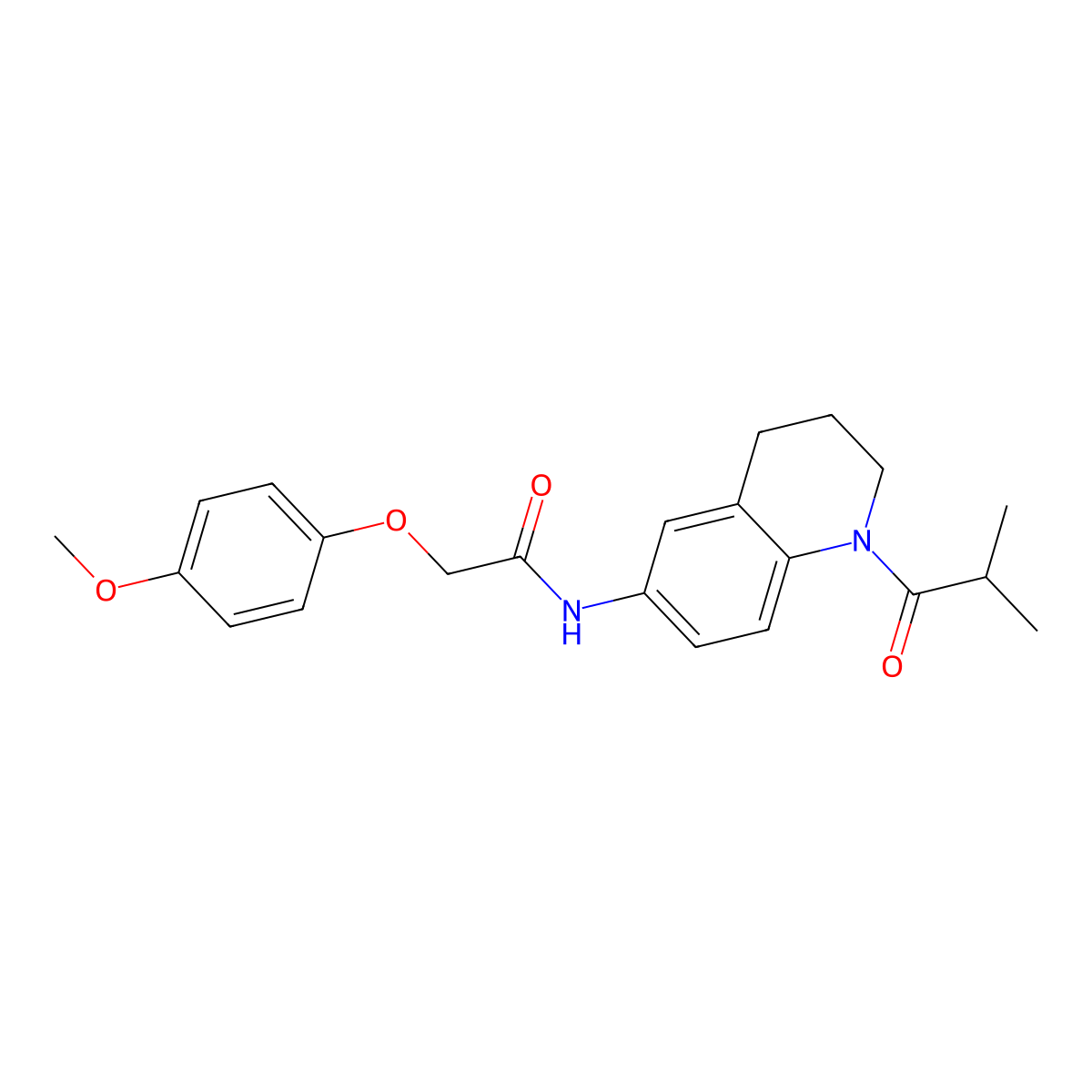 N-(1-isobutyryl-1,2,3,4-tetrahydroquinolin-6-yl)-2-(4-methoxyphenoxy)acetamide molecular structure, CAS 1005292-90-9