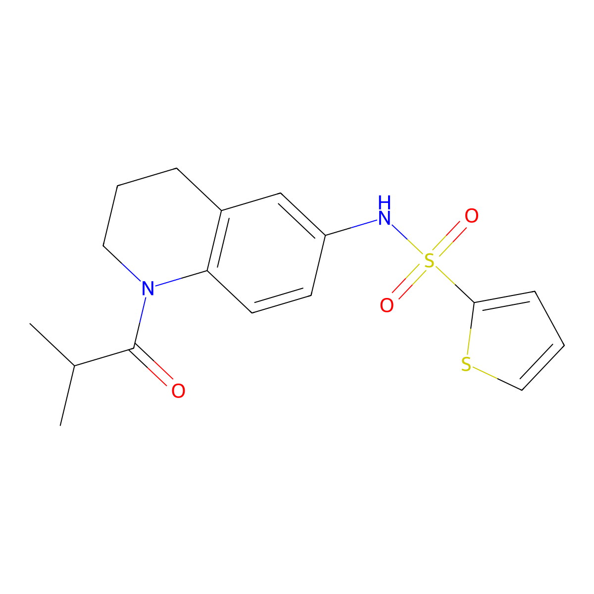 N-(1-isobutyryl-1,2,3,4-tetrahydroquinolin-6-yl)thiophene-2-sulfonamide molecular structure, CAS 1005293-46-8
