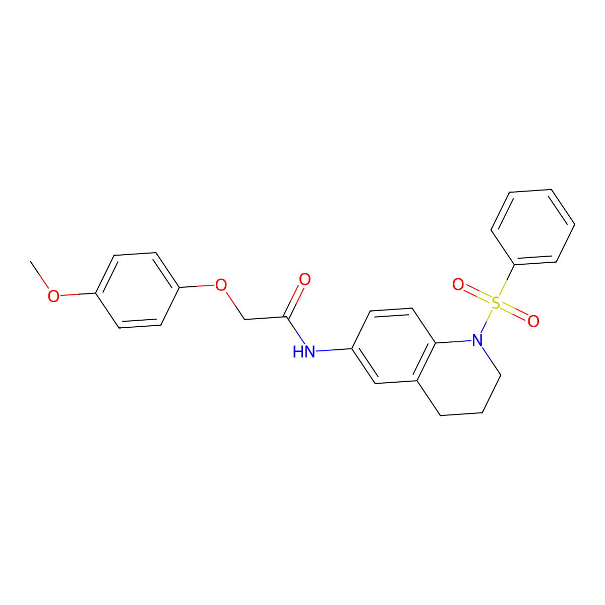 2-(4-methoxyphenoxy)-N-(1-(phenylsulfonyl)-1,2,3,4-tetrahydroquinolin-6-yl)acetamide molecular structure, CAS 1005293-64-0