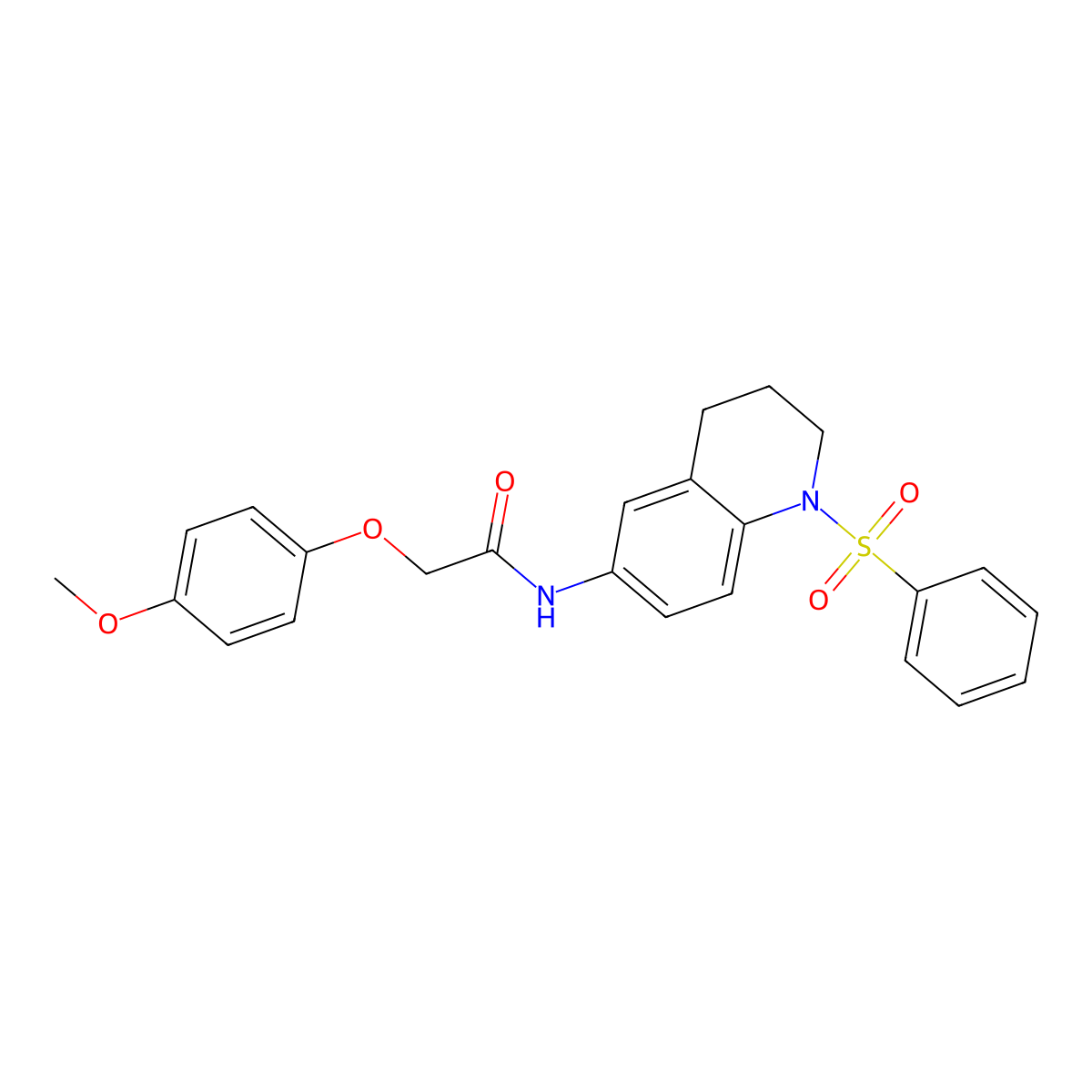 2-(4-methoxyphenoxy)-N-(1-(phenylsulfonyl)-1,2,3,4-tetrahydroquinolin-6-yl)acetamide molecular structure, CAS 1005293-64-0