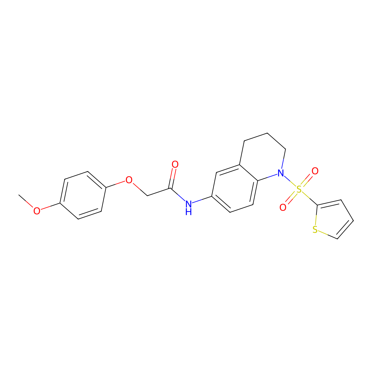 2-(4-methoxyphenoxy)-N-(1-(thiophen-2-ylsulfonyl)-1,2,3,4-tetrahydroquinolin-6-yl)acetamide molecular structure, CAS 1005293-90-2