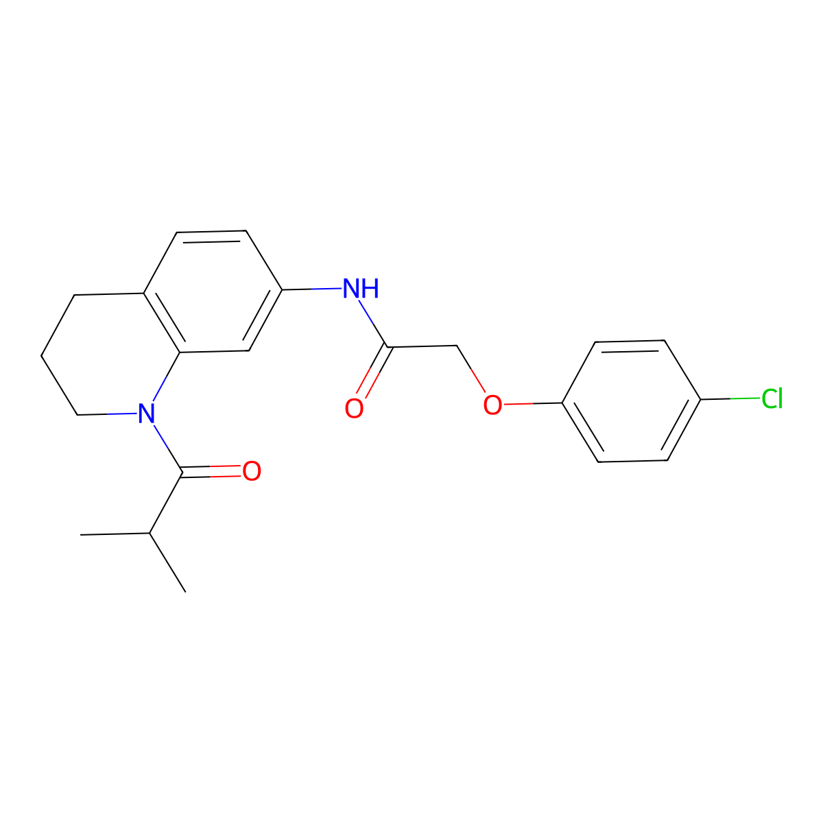 2-(4-chlorophenoxy)-N-(1-isobutyryl-1,2,3,4-tetrahydroquinolin-7-yl)acetamide molecular structure, CAS 1005294-28-9