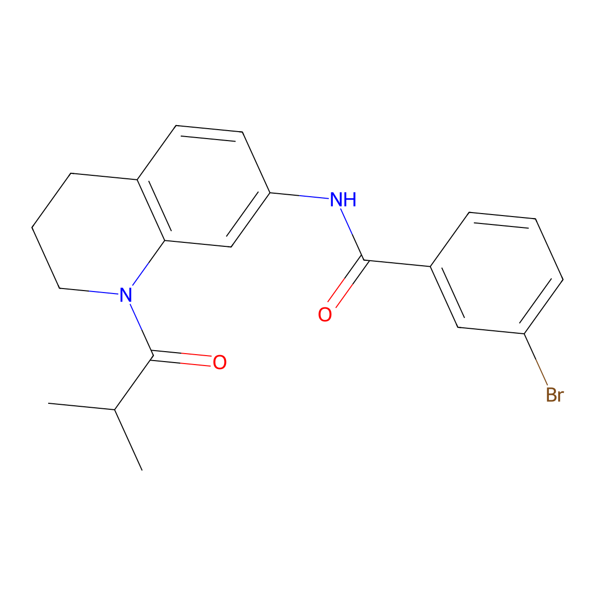 3-bromo-N-(1-isobutyryl-1,2,3,4-tetrahydroquinolin-7-yl)benzamide molecular structure, CAS 1005294-46-1
