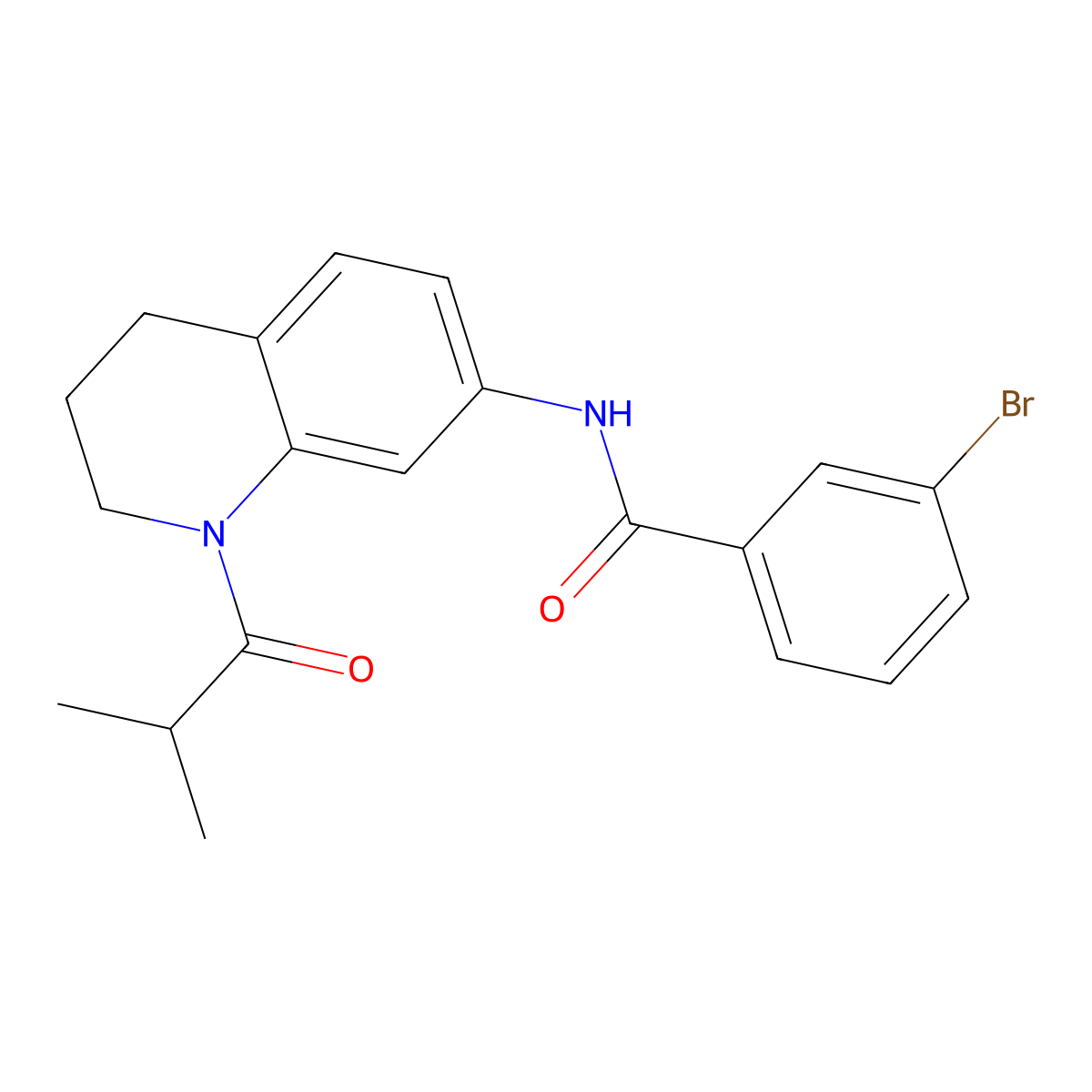 3-bromo-N-(1-isobutyryl-1,2,3,4-tetrahydroquinolin-7-yl)benzamide molecular structure, CAS 1005294-46-1