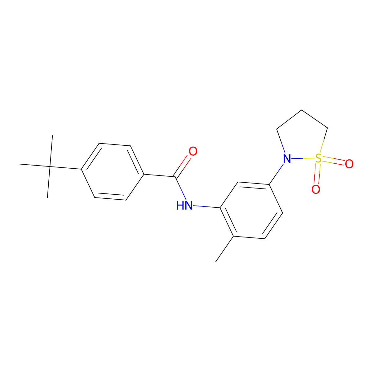 4-tert-butyl-N-[5-(1,1-dioxo-1,2-thiazolidin-2-yl)-2-methylphenyl]benzamide molecular structure, CAS 1005297-10-8