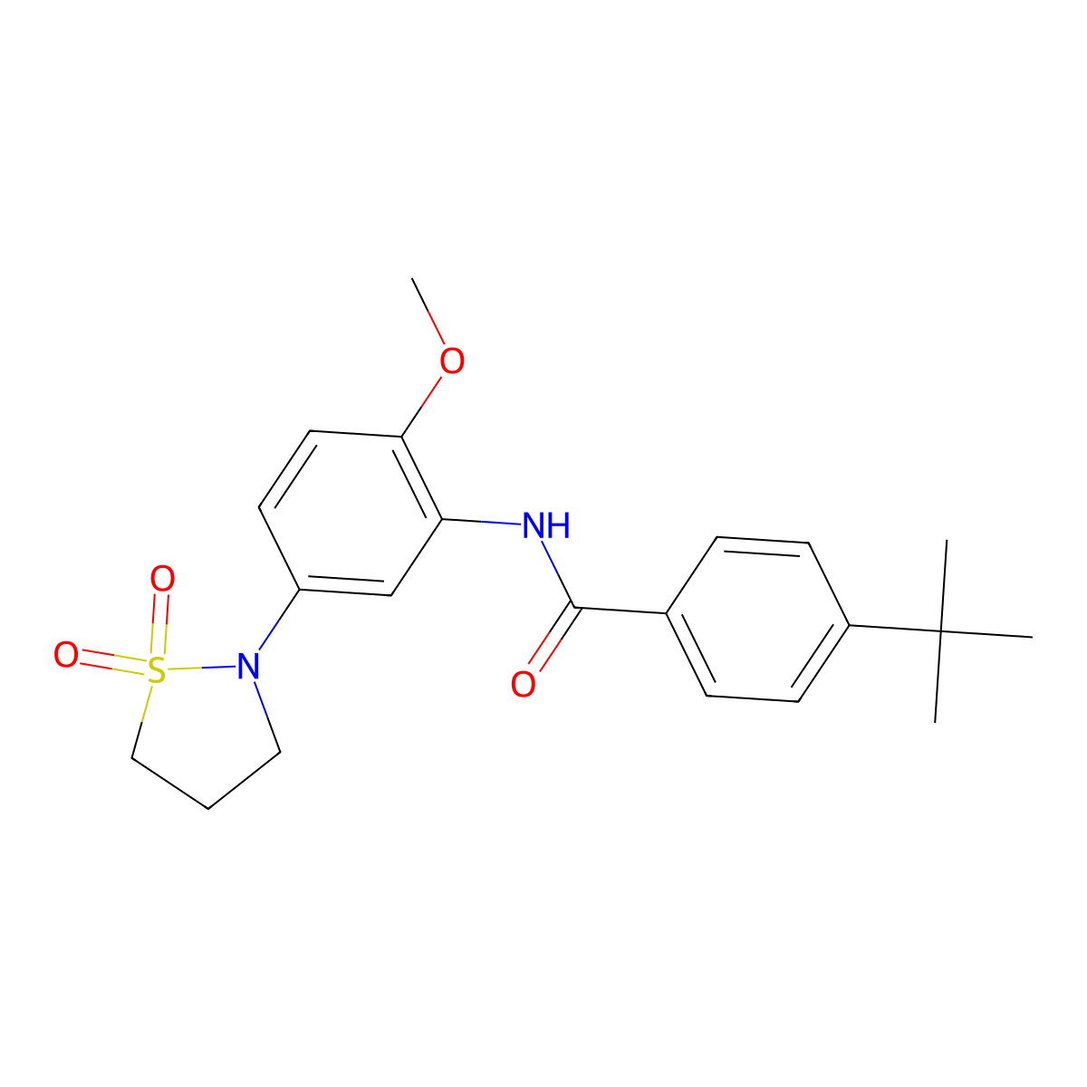 4-tert-butyl-N-[5-(1,1-dioxo-1,2-thiazolidin-2-yl)-2-methoxyphenyl]benzamide molecular structure, CAS 1005297-14-2
