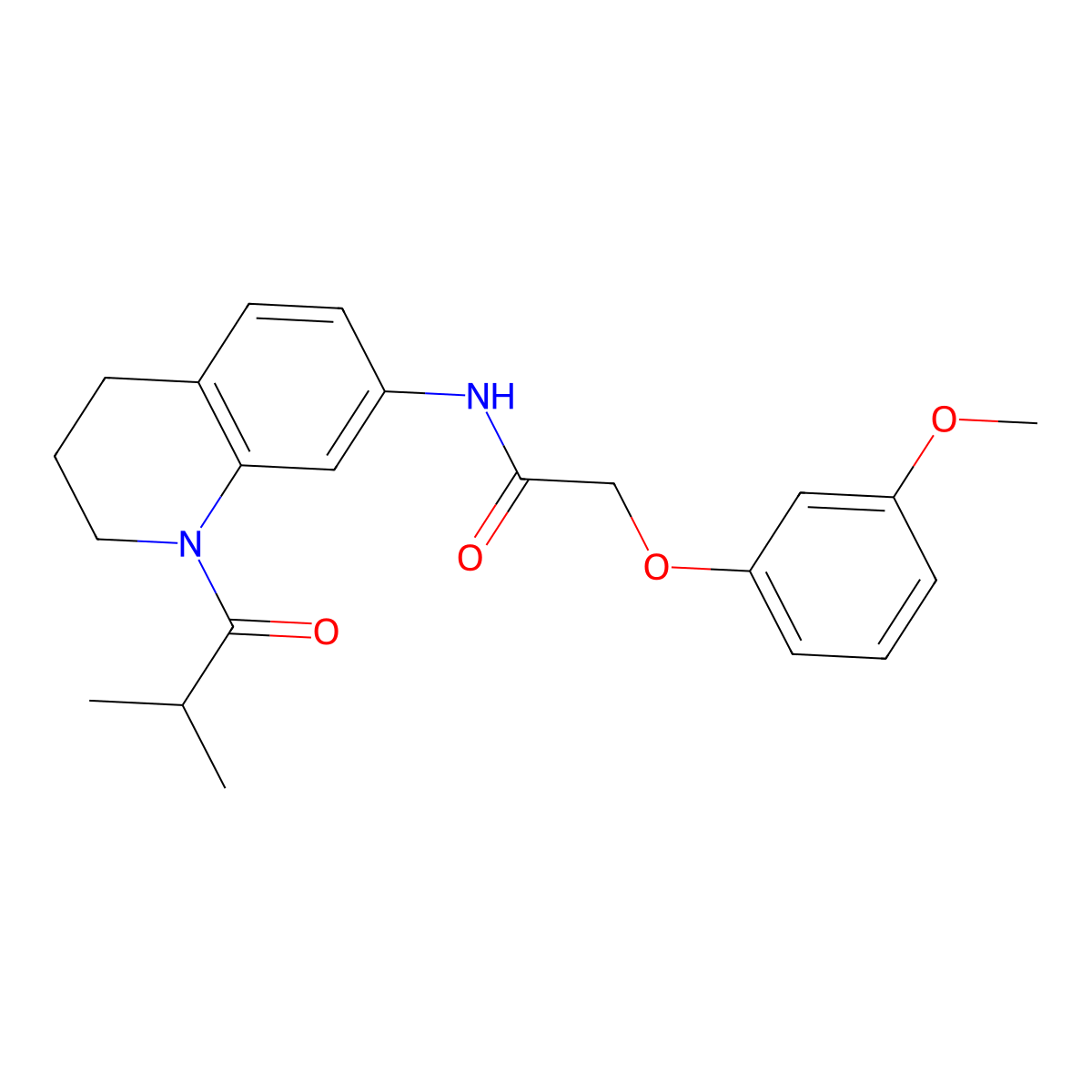 N-(1-isobutyryl-1,2,3,4-tetrahydroquinolin-7-yl)-2-(3-methoxyphenoxy)acetamide molecular structure, CAS 1005298-52-1