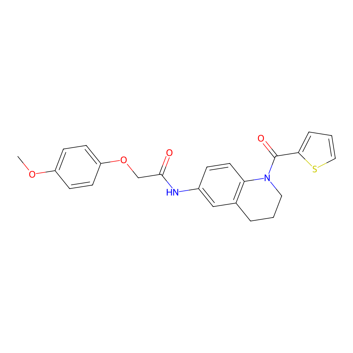 2-(4-methoxyphenoxy)-N-[1-(thiophene-2-carbonyl)-1,2,3,4-tetrahydroquinolin-6-yl]acetamide molecular structure, CAS 1005299-10-4
