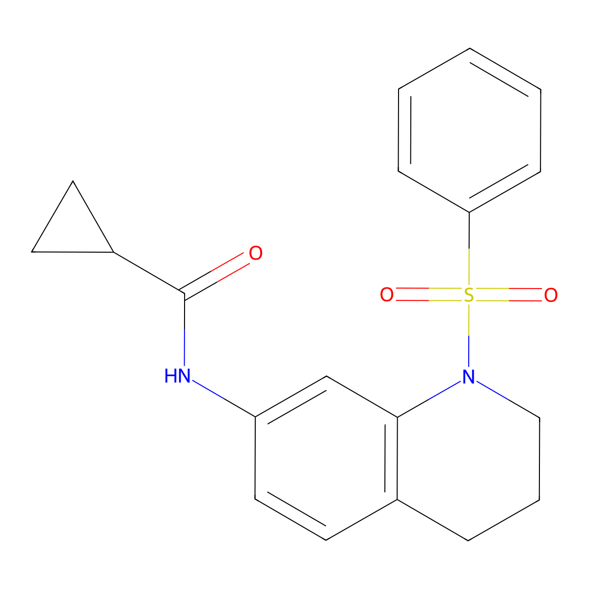 N-[1-(benzenesulfonyl)-3,4-dihydro-2H-quinolin-7-yl]cyclopropanecarboxamide molecular structure, CAS 1005299-15-9