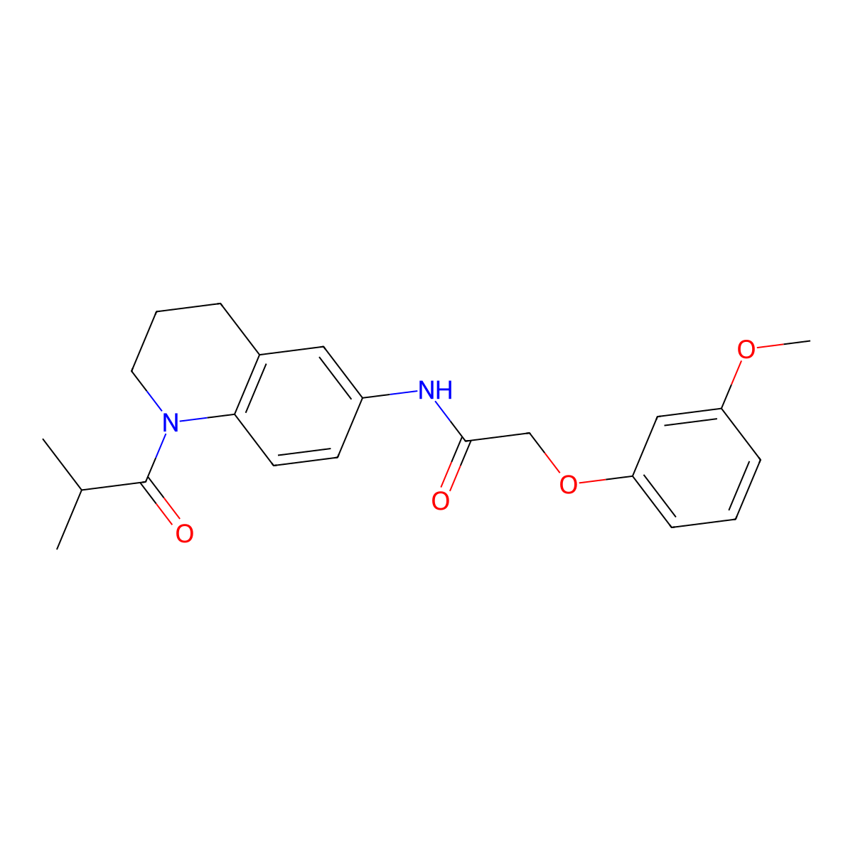 N-(1-isobutyryl-1,2,3,4-tetrahydroquinolin-6-yl)-2-(3-methoxyphenoxy)acetamide molecular structure, CAS 1005299-43-3